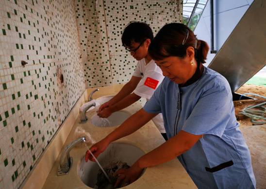 D4B6E972F3C4BB311AD2621083E04D18